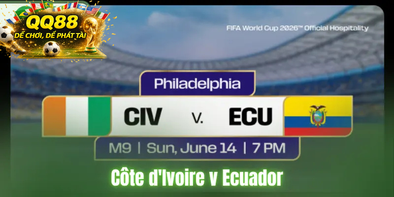 Nhận Định Tỉ Số Bờ Biển Ngà vs Ecuador Cuộc Chiến Quyết Định 15/6/2026 Bờ Biển Ngà vs Ecuador 2